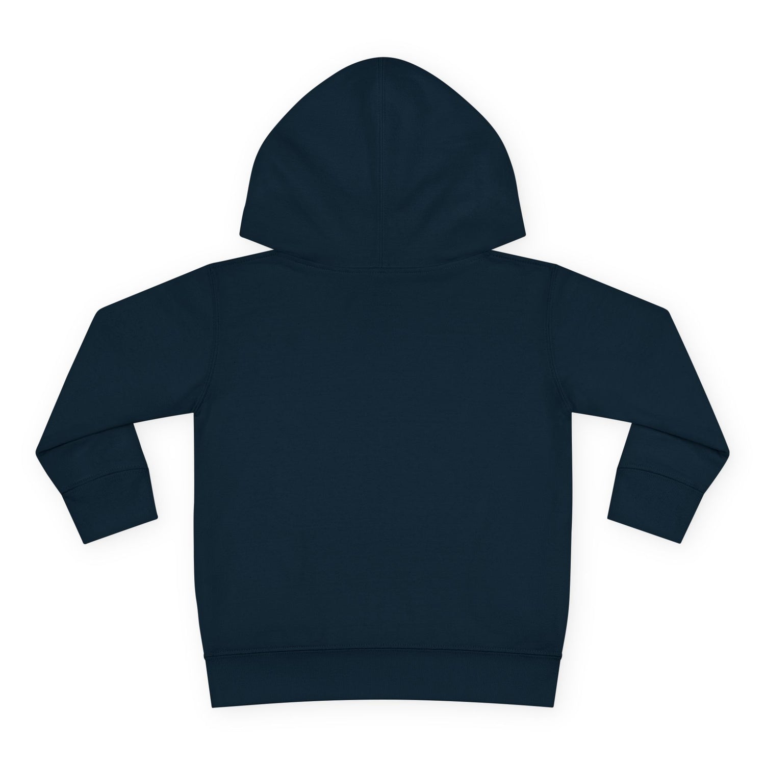But, Why? Toddler Hoodie