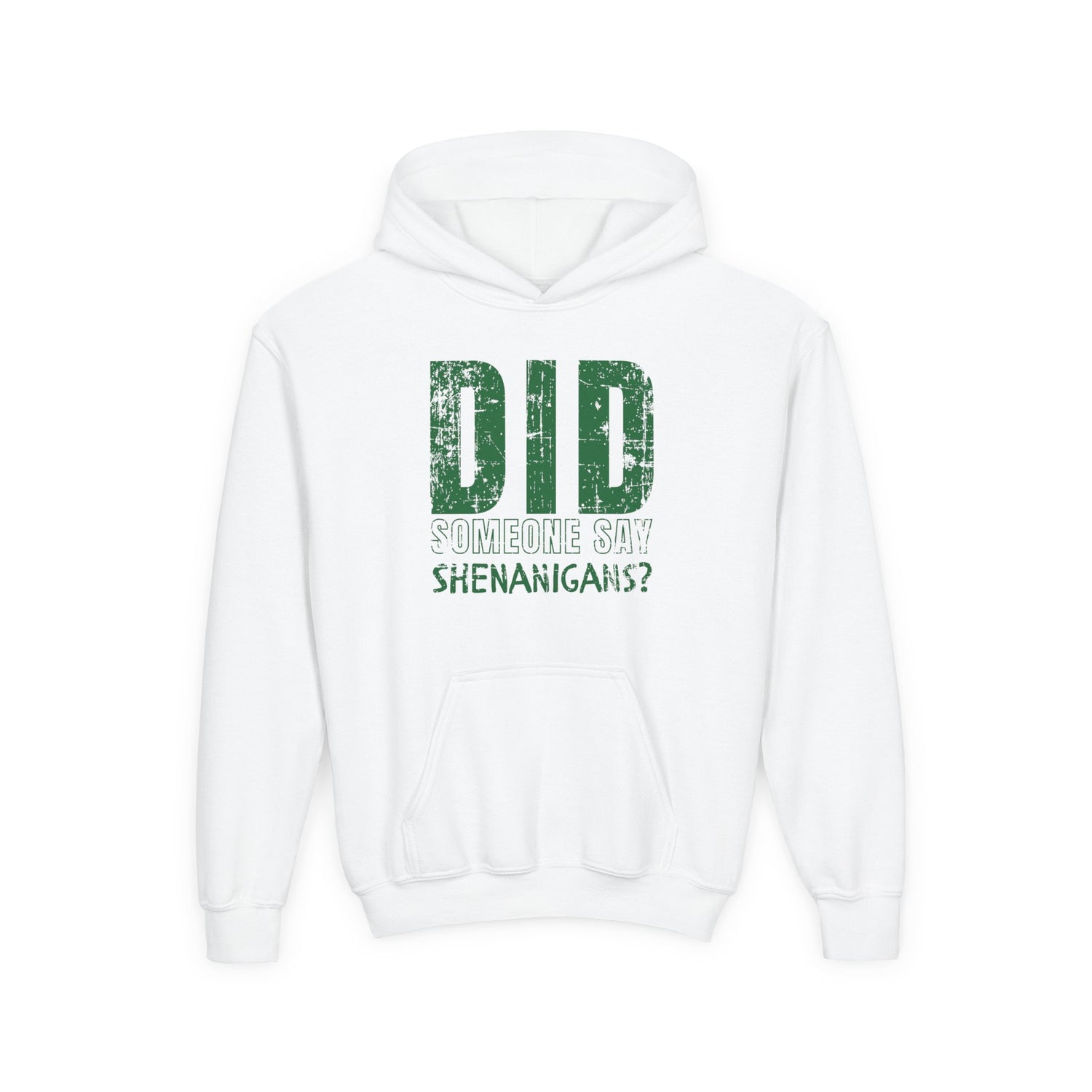 Did Someone Say Shenanigans? Youth Hoodie