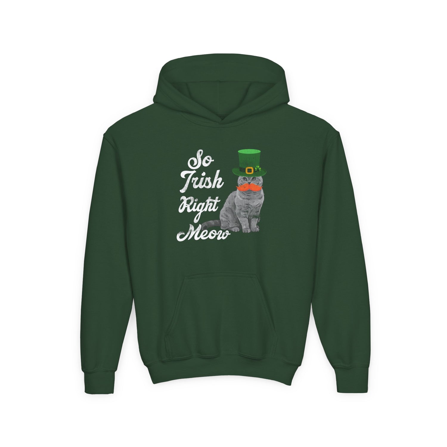 SO IRISH RIGHT MEOW YOUTH HOODIE
