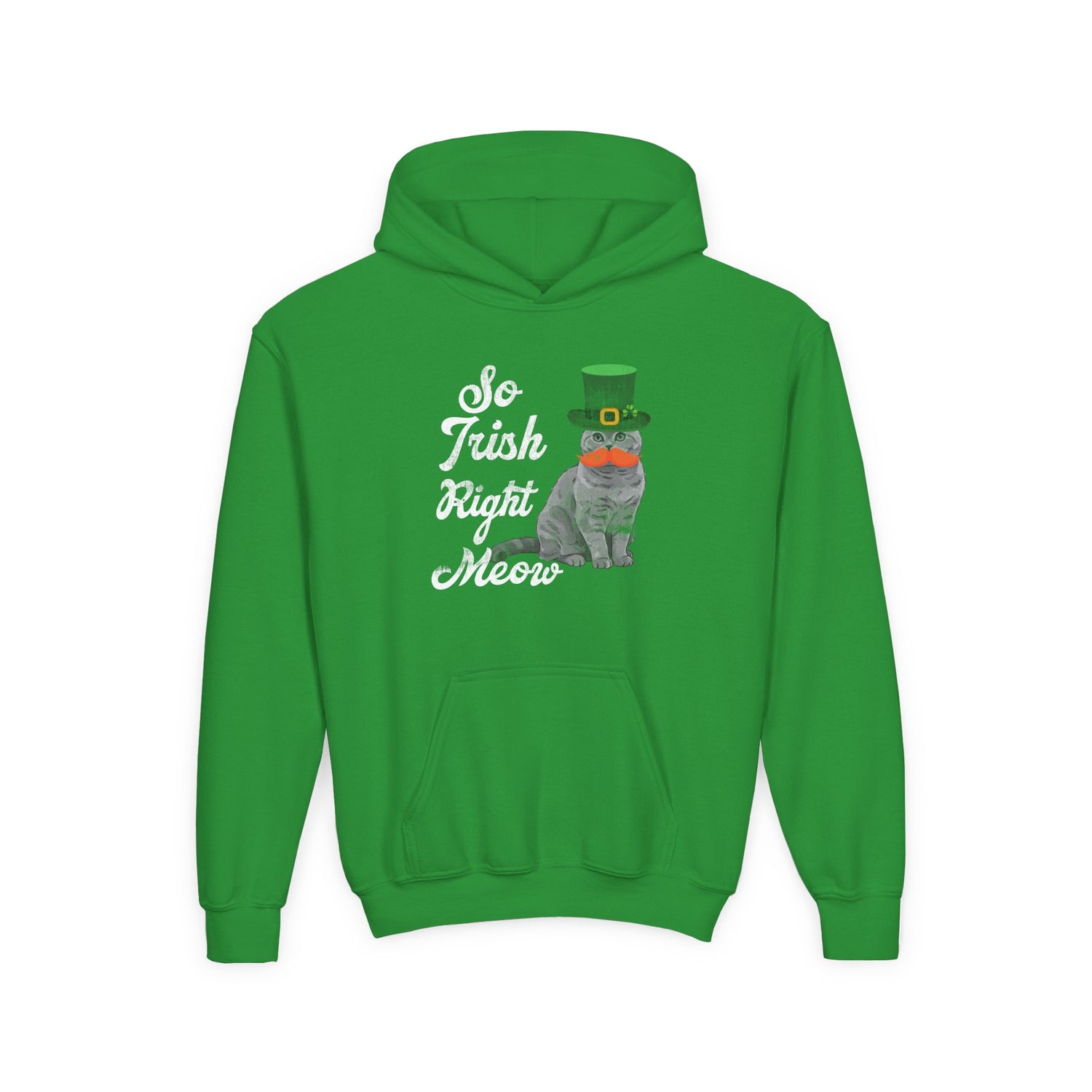 SO IRISH RIGHT MEOW YOUTH HOODIE