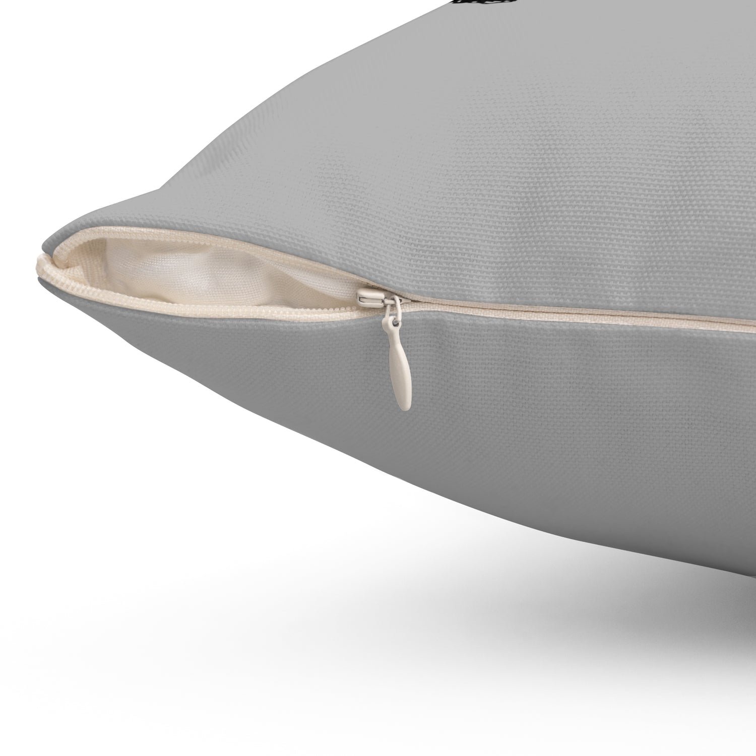 Stay Trashy Pillow