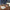 Buzz's Girlfriend Home Alone Christmas Cards (8, 16, and 24 pcs)